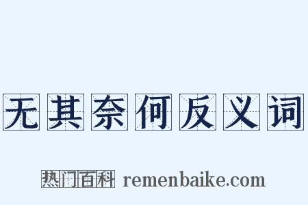 无其奈何反义词是什么意思的图片